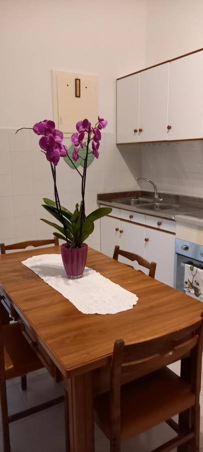Kikieframyhome